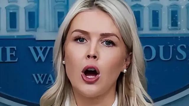 诗心寄云帆：白宫传来消息，   4月11