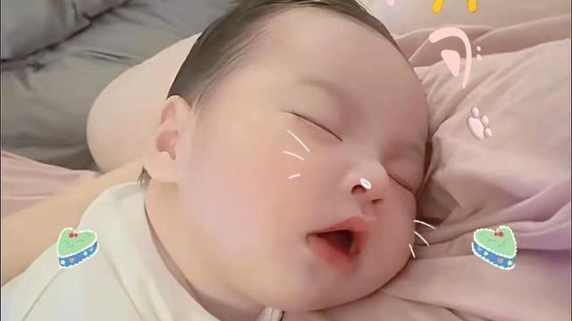 被风吹跑的花花：快乐汪宝儿