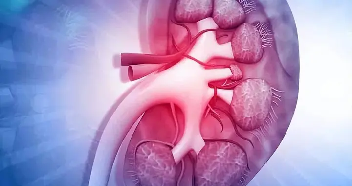以肠护肾：肠菌移植革新糖肾防治，临床研究发现效果非常好