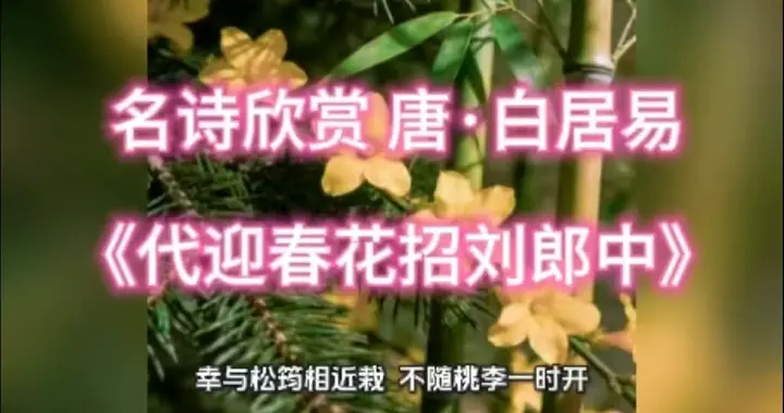 名诗欣赏：唐・白居易《代迎春花招刘郎中》