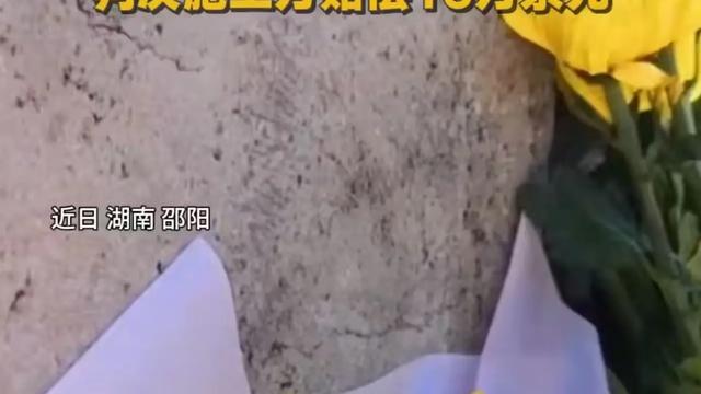 宝贝哥哒：清明祭遇难！墓碑倒塌砸成十级伤