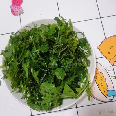 海之般若：挖野菜上瘾，我们往回走时，都快