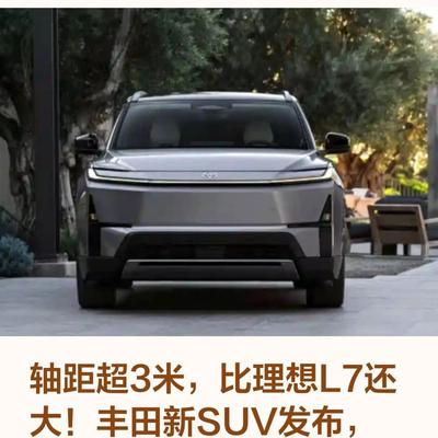 罗先生讲车：纯电汉兰达来了？95.8度电