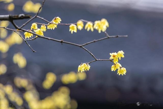 精伤过度最后的结果是阳虚夹湿夹瘀？