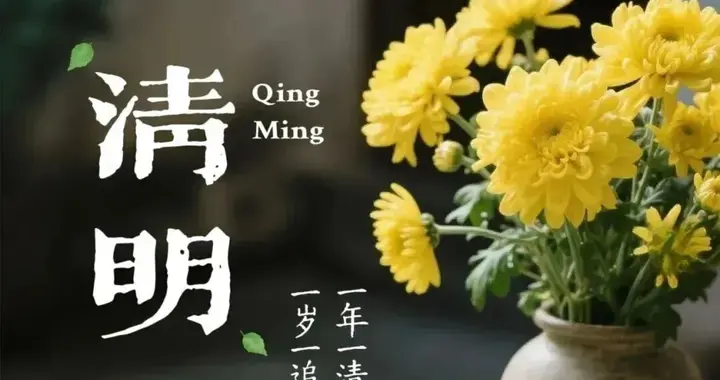 又是一年清明至，思怀故人时，愿花飨逝者，春暖斯人