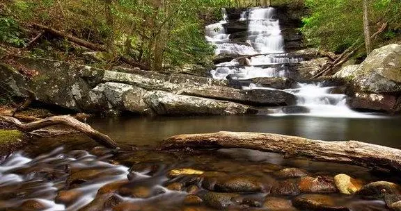 为什么做生意和经商家庭的孩子，往往更早洞悉人性与社会潜规则？