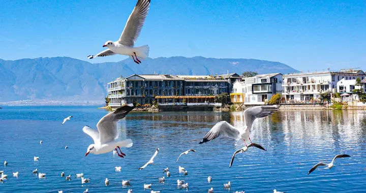 25092期，大乐透，不同出号码，杀号预测