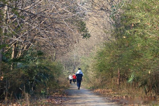 西安被低估的出游宝藏地，拥有两个“世界吉尼斯记录”，在西郊！
