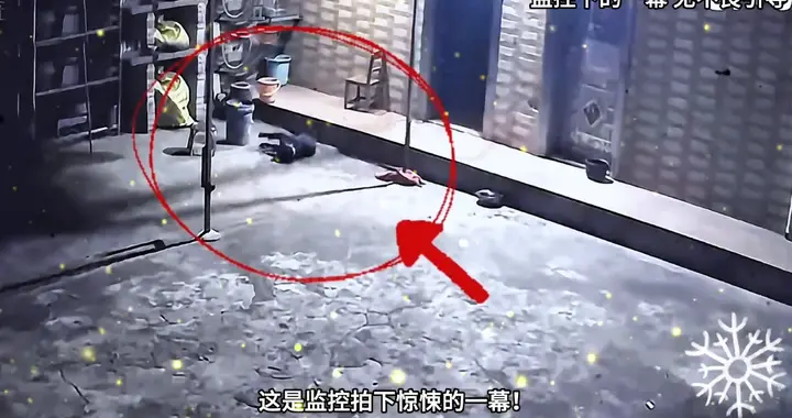 狗狗前一秒还精神抖擞，下一秒就哀嚎猝死！这是怎么回事？