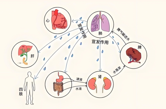 肺不好的人，睡觉时通常有这三种异常，一个没沾，肺就健康