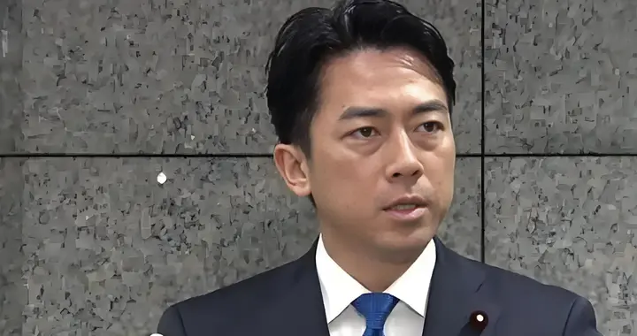 中日关系有变，3：82结果一出，小泉进次郎被催下台，日本乱套了