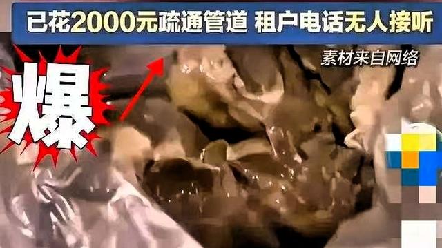 林中小憩听蝉鸣：郑州那个把房子“打扫干净