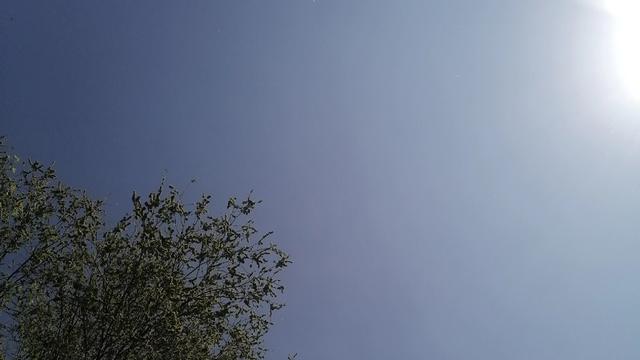 海之般若：今天做一回慈禧太后，给我削个苹