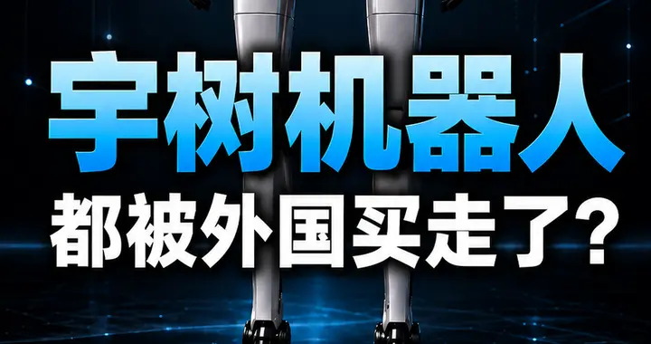 宇树上市，但机器人到底能做什么？