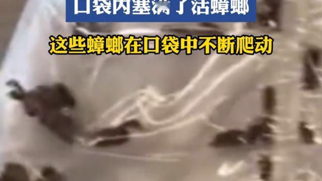 名呢：这世界已经癫到我看不懂的程度了！