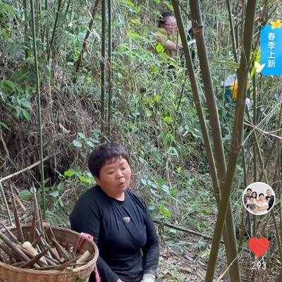 山水一现之广东黄清妹：看着超妈和她亲人去