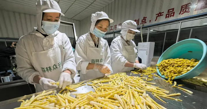 顶风作案！毒竹笋再现，人民日报记者暗查发现，产业链触目惊心