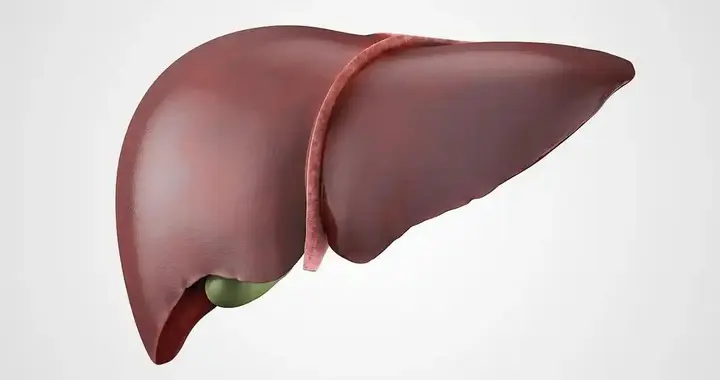 肝最喜欢的两茶一粥，睡不好的人要多吃，养出黄金肝，肝强寿更长