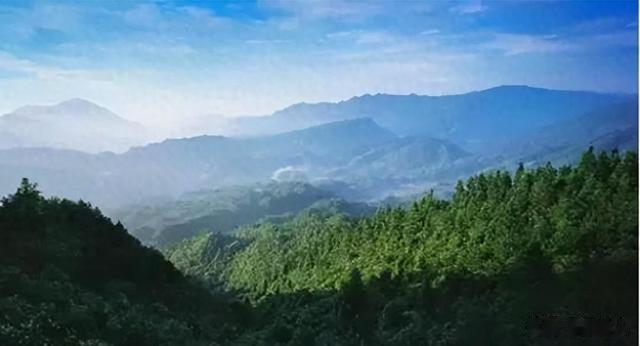 林业局回复：不鼓励也不支持在林地上种植果树