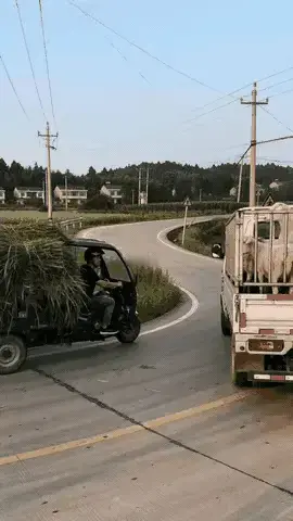 谷间寻溪流的行者：生死关头：机遇是敲门砖