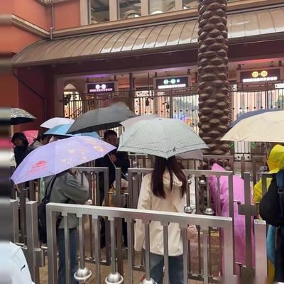 生产队的驴：假期来北京环球影城，没买优速