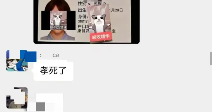 上海女子举报虐猫群聊反遭“开盒”人肉，全家户籍身份证号信息被扒，还被造...