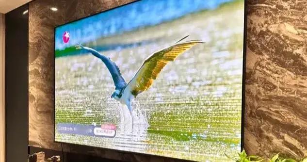 高端电视选购指南：SQD-Mini LED与RGB-Mini LED的技术分析