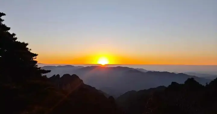 青岛人才集团原董事长双开