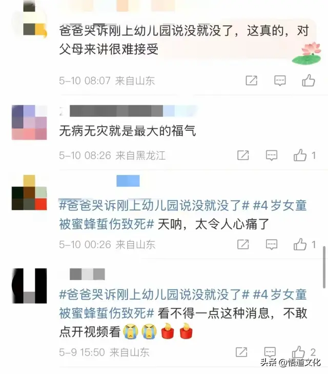 夺命蜂群突袭民宅！4岁女童全身被蜇休克身亡！