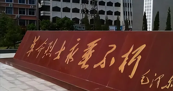 86年母子到烈士陵园祭拜，儿子突然惊喊：妈，这墓碑上有你名字