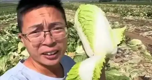 甲醛白菜曝光3天，胖东来一句话没说，却意外冲上了热搜