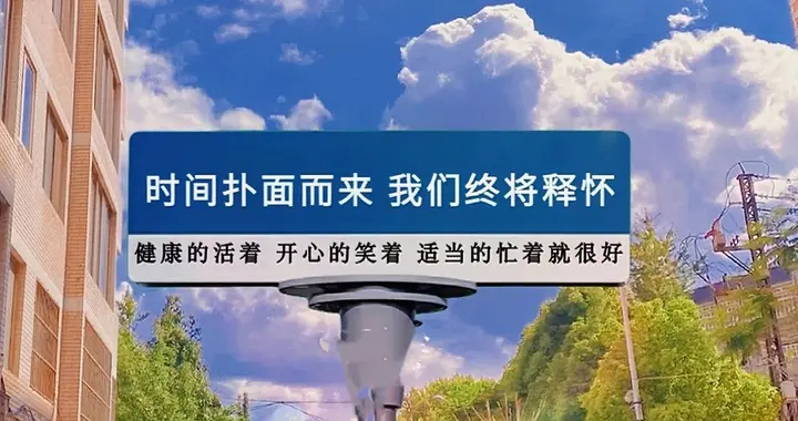 长大后一定要懂人情世故吗？