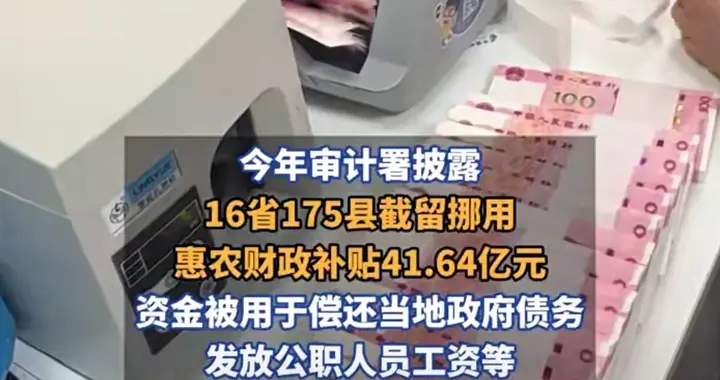 16省挪用惠农补贴超37亿整改曝光：最长拖欠农户9年，钱去哪了？