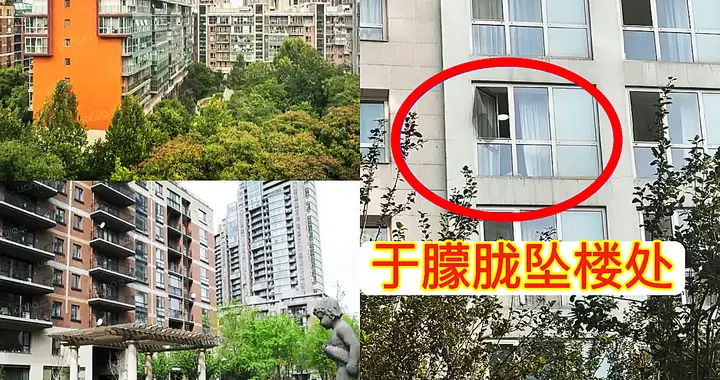 于朦胧坠亡事件进展：网传脸朝上落地嘴角流血，窗户有抓痕