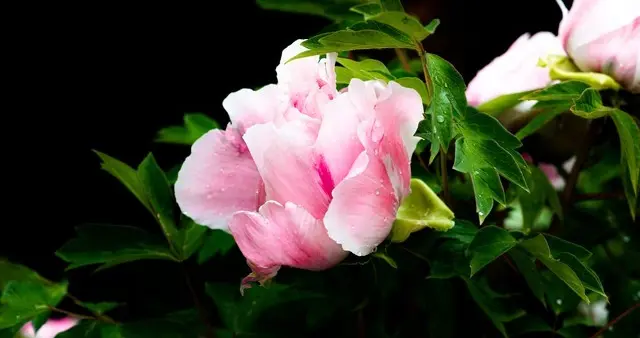 放下吧随缘吧！跟什么过不去都千万不要跟钱和自己过不去