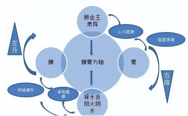 三甲名医刘秋峰：肚子胀不消化？两味中药，一健一消，把气排出去