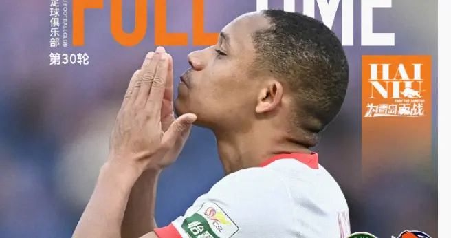 海牛保级成功却隐入危机，老总喊话官方加大投入，民营资本独舞