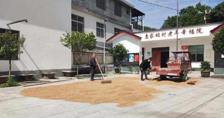 汉中略阳一村委会大院变身晒粮场 暖心服务晒出丰收喜悦
