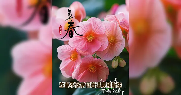 春日茶点，静享美好时光。