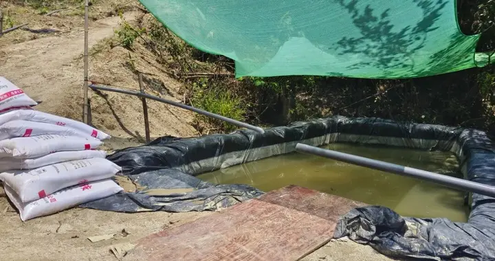 湖南侦破特大非法盗采稀土案：团伙设瞭望哨、配对讲机通风报信，共盗采稀土...