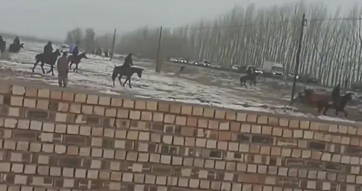 贺娇龙今日安葬:70岁母亲称:她每天活在聚光灯下，让她...