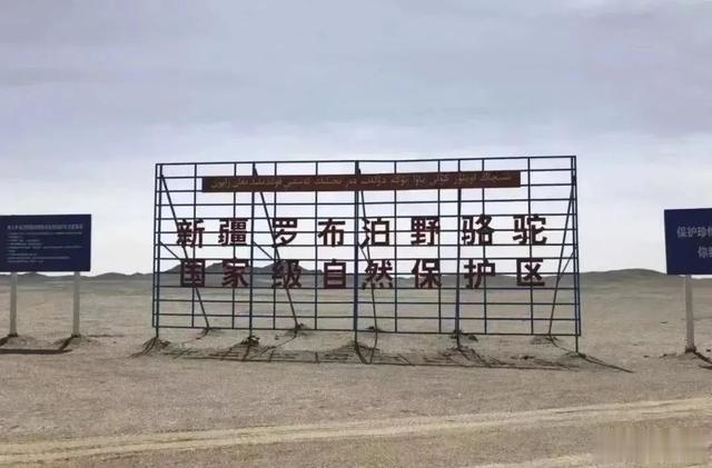 罗布泊的悲剧，不是偶然