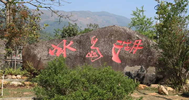 怎么样才能喝出普洱茶的山头？