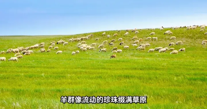 “第一次踩进这片绿毯，我的靴子飘了起来”🌿👢