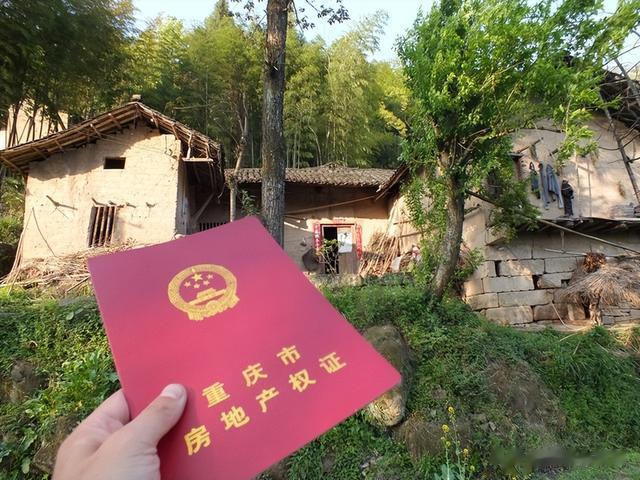 哥哥当年上大学把户口迁出去，现在城里失业了，想回农村却回不来