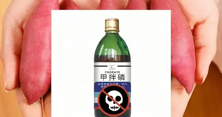 农药渗进了红薯心！菜市场红润表皮下的健康危机，你家餐桌有吗？