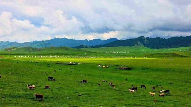 《敕勒歌》描写的是什么地方什么景色