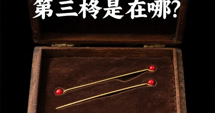 金簪断口藏密码！2023年出土的“徒单氏首饰盒” 第三根簪子去哪了