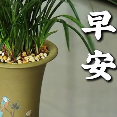 必成菩提：你記得我是一份感動， 我牽掛你