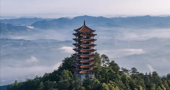 重庆北碚被“掏空”了?割走最肥的蔡家水土，从此专心种折耳根